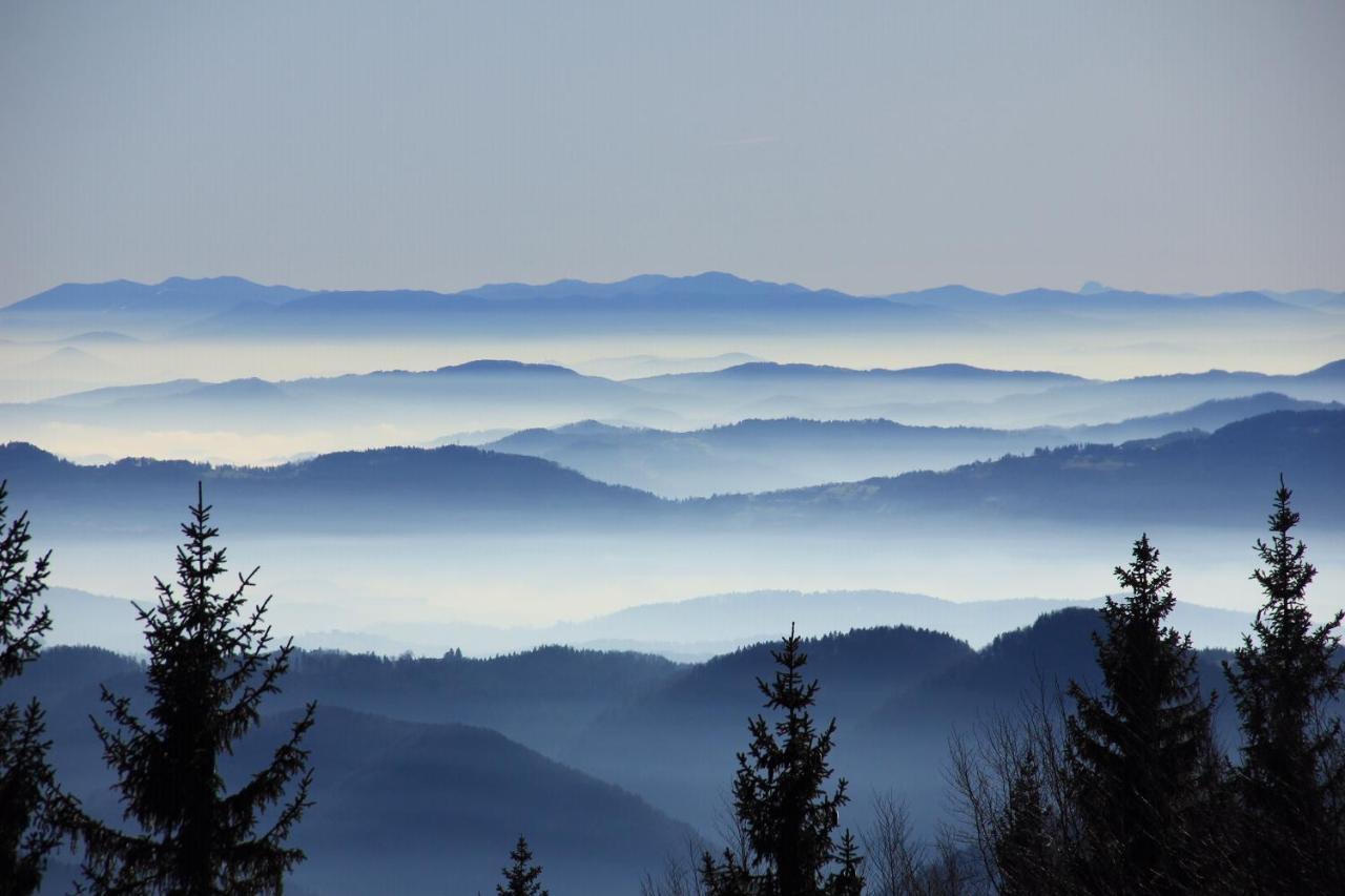 Velika Planina Chalet Slovenka Stahovica Luaran gambar