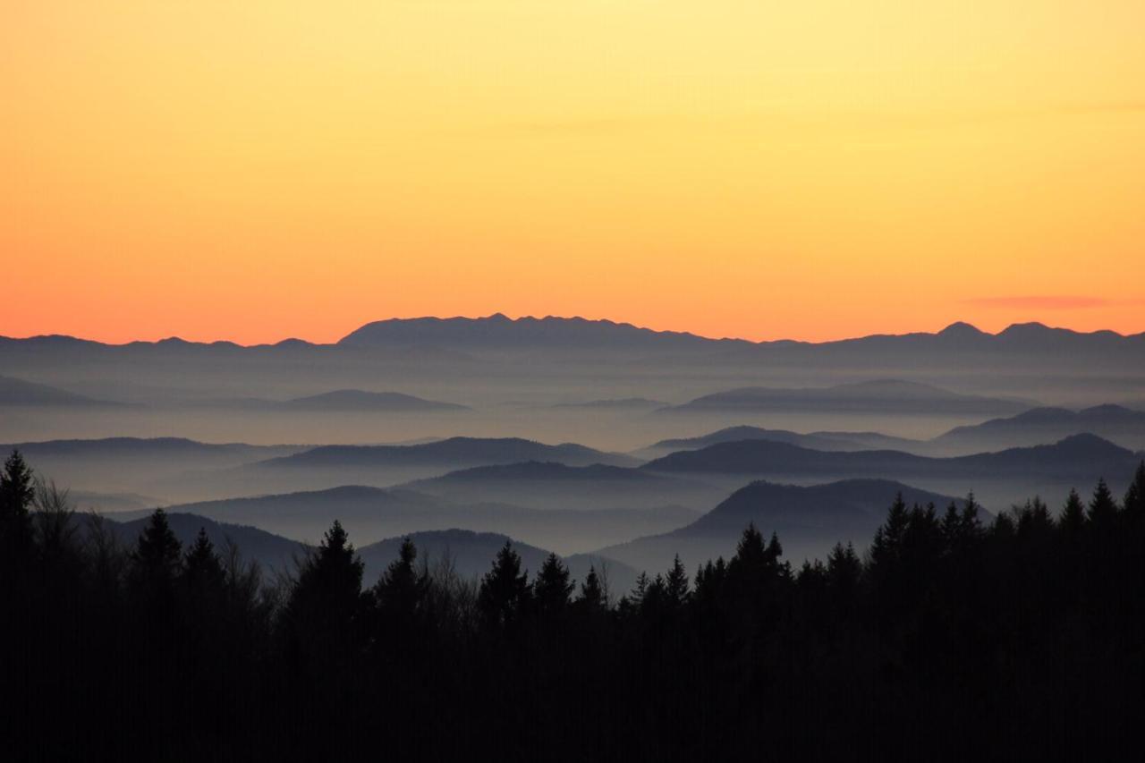 Velika Planina Chalet Slovenka Stahovica Luaran gambar