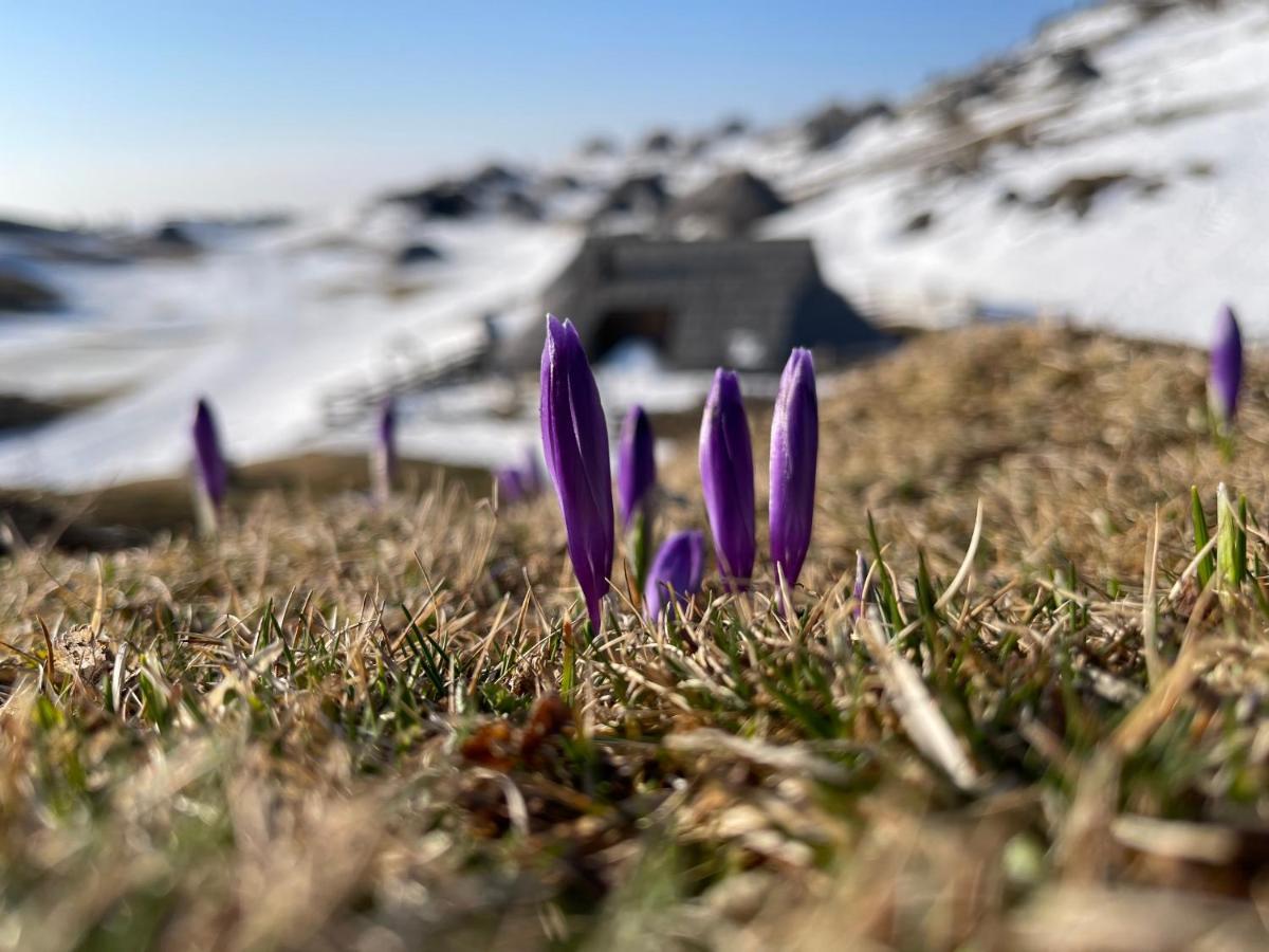 Velika Planina Chalet Slovenka Stahovica Luaran gambar